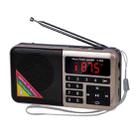 Bluetooth Card Radio Digital FM Player, Specifications: Y-509FM (No Solar Panel)(Gold) - 1