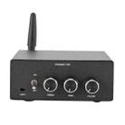 Bluetooth 5.0 Hi-Fi Stereo Audio Digital Power Amplifier(US Plug) - 3