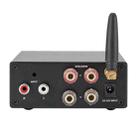 Bluetooth 5.0 Hi-Fi Stereo Audio Digital Power Amplifier(EU Plug) - 2