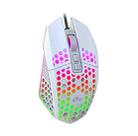 FMOUSE  X801 8 Keys 1600DPI Hollow Luminous Gaming  Office Mouse,Style: White Wired  - 1