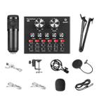 V8 Live Sound Card Set Anchor Recording Microphone,Style: With Black BM800 Set - 1