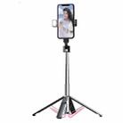 Phone Live Bracket Bluetooth Selfie Tripod, High: 102CM (Stainless Steel + Single Fill Light) - 1