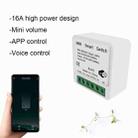 003 WiFi App Remote Voice Control Smart Switch(WiFi+Bluetooth Dual-mode 16A) - 6