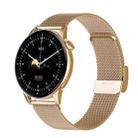 HD1 1.3 Inch AMOLED Screen Smart Watch with NFC Function(Gold Steel+Silicone Strap) - 1