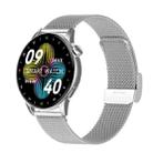 HD1 1.3 Inch AMOLED Screen Smart Watch with NFC Function(Silver Steell+Silicone Strap) - 1