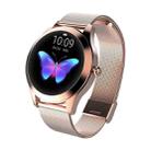 LOANIY KW10 Heart Rate/Sleep Monitoring Smart Watch(Gold Steel) - 1