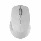 Rapoo M300G 1600DPI 3 Keys Laptop Office Silent Wireless Bluetooth Mouse(Light Gray) - 1