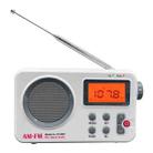 SY-8801 Portable Retro Radio HD LCD Screen Weight Bass Short Wave Radio(White) - 1