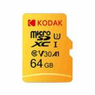Kodak U3 Monitoring Recorder Memory Card, Capacity: 64GB - 1