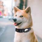 PUGGA GG1002 Polyester Dog GPS Device Protector Collar For AirTag, Size: M(Blue) - 6