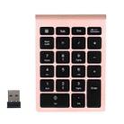 BT304 22 Keys Laptop Mini Wireless Keyboard, Spec: 2.4G (Gold) - 1