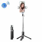 Retractable Bluetooth Selfie Stick Mobile Phone Live Broadcast Tripod Stand, Style: Double Light (Black) - 1