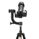 QingZhuangShiDai Q35 SLR Camera Telephoto Lens Bird Watching Tripod Head(Gold) - 1