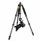 QingZhuangShiDai Q666C Portable Travel Photography Ball Head SLR Camera Carbon Fiber Tripod(Black) - 1