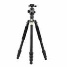 QingZhuangShiDai  Q999B Portable and Stable Photography SLR Digital Camera Tripod(Gold) - 1