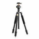 QingZhuangShiDai  Q999B Portable and Stable Photography SLR Digital Camera Tripod(Black) - 1