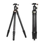 QingZhuangShiDai Q8805C CNC Camera SLR Carbon Fiber Tripod Without Central Axis(Black Gold) - 1