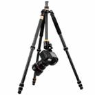 QingZhuangShiDai Q222C SLR Camera Carbon Fiber Portable Travel Tripod(Black) - 1