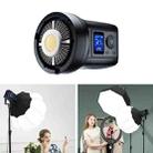 135W Portable Fill Light Handheld LED Photography Light, Style: Single Color Temperature Light - 1