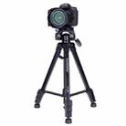 YUNTENG VCT-668RM Portable SLR Camera Tripod Mobile Phone Live Broadcast Support(Black) - 1