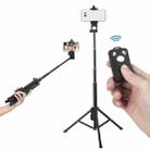 YUNTENG 1688 Selfie Stick Tripod Bluetooth Remote Control Camera Stand(Black) - 1