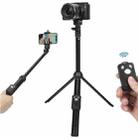 YUNTENG 2288 Bluetooth Remote Control Phone Selfie Rod Tripod Portable Live Broadcast Bracket - 1