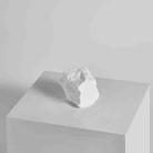 Irregular Plaster Jewelry Ornaments Photography Props, Size: 4.8cm Small - 1