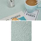 40x40CM Thick Sand Solid Color Background Plate Photo Photography Props(Light Green) - 1