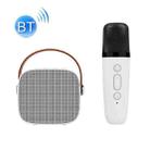 D20 Multifunctional K Song Bluetooth Speaker With Microphone(White) - 1