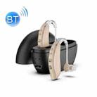 GM-301 Hearing Aid Rechargeable Sound Amplifier,Spec: With Charging Pod Skin Color+Black - 1