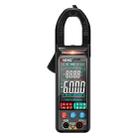 ANENG Large Screen Multi-Function Clamp Fully Automatic Smart Multimeter, Specification: ST212 Black DC Current - 1