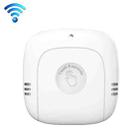 PT216W Indoor And Outdoor Sensor No Screen Graffiti WIFI Model Household Temperature And Humidity Meter - 1