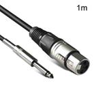 6.35mm Caron Female To XLR 2pin Balance Microphone Audio Cable Mixer Line, Size: 1m - 1