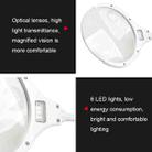 TS-9006 2.25X/5X USB Rechargeable Two-gears Brightness LED Light Desk Magnifier - 3
