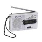 BAIJIALI BJLR21 Simple Retro Radio Full-Band Built-In Speaker Outdoor Portable Audio(Silver Gray) - 1