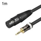 3.5mm To Caron Female Sound Card Microphone Audio Cable, Length: 1m - 1