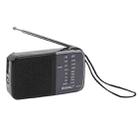 BAIJIALI KK-218 Vintage Analog Portable Multiband Built-in Speaker Radio(Black) - 1