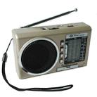 BAIJIALI PX-53U Champagne Gold Multi-band Retro Pointer Radio USB Plug In Card Radios - 1