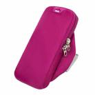 B052 Running Phone Waterproof Arm Bag Coin Pouch Outdoor Sports Fitness Phone Bag(Purple) - 1