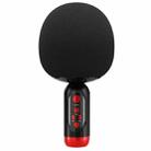 K2 Wireless Bluetooth Microphone Singing All-in-one Speaker(Black) - 1