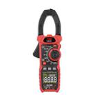 TASI TA813A Clamp Meter High Accuracy AC DC Voltage Ammeter - 1