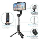 APEXEL APL-D6 Live Video Multifunctional Mobile Phone Gimbal Stabilizer Selfie Stick - 13