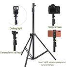 BEXIN  LSC05 Camera Light Stand Conversion Head 1/4-inch mount for Umbrella Holder - 7