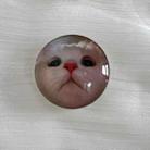 Crystal Ball Airbag Bracket Desktop Retractable Back Stick Cell Phone Holder(Big Head Cat) - 1