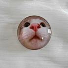 Crystal Ball Airbag Bracket Desktop Retractable Back Stick Cell Phone Holder(Nose Cat) - 1