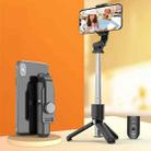 CYKE Mini Phone Selfie Stick Tripod Multifunctional Desktop Live Bracket, Style: Stainless Steel - 1