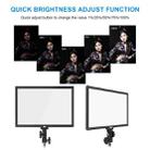 Pixel P50 Dual Color Temperature Flat Panel Fill Light 45W Soft Outdoor Shooting Fill Light For Straight Photography(Lamp+UK Plug Adapter) - 5