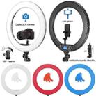 Pixel R60C 60W Live Photography Video Remote Control Ring Fill Light(B Set+US Plug Adapter) - 8