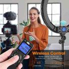 Pixel R60C 60W Live Photography Video Remote Control Ring Fill Light(B Set+EU Plug Adapter) - 10