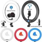 Pixel R60C 60W Live Photography Video Remote Control Ring Fill Light(B Set+AU Plug Adapter) - 8